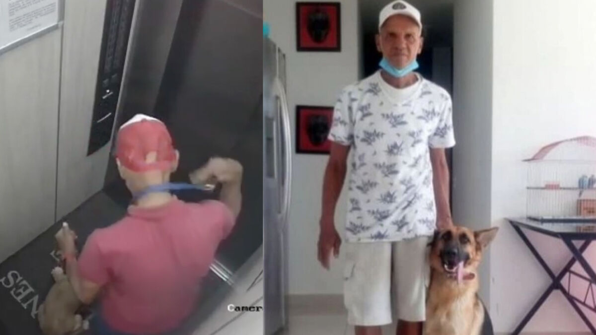 ¡Infame! Paseador canino fue captado golpeando a un perrito  En redes ha causado indagación el video en que un hombre que supuestamente se hace pasar por un paseador canino golpea brutalmente a un pequeño cachorro dentro de un ascensor antes de sacarlo a caminar.