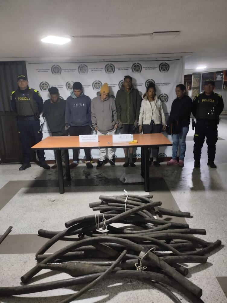 Capturan a banda que robaba cable relleno de cobre en Barrios Unidos Seis sujetos de nacionalidad venezolana fueron capturados en el barrio JJ Vargas de la localidad de Barrios Unidos.