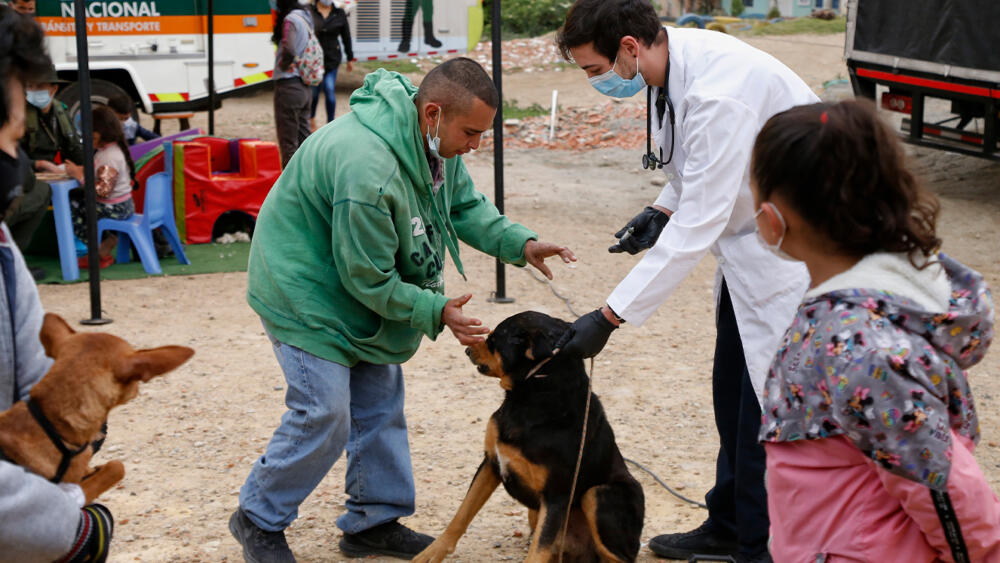 Esterilización gratuita para perros y gatos en Bogotá El Instituto Distrital de Protección y Bienestar Animal abrió 1.765 nuevos cupos para que los bogotanos que tengan mascotas, perritos o gatitos, los puedan esterilizar de forma gratuita.