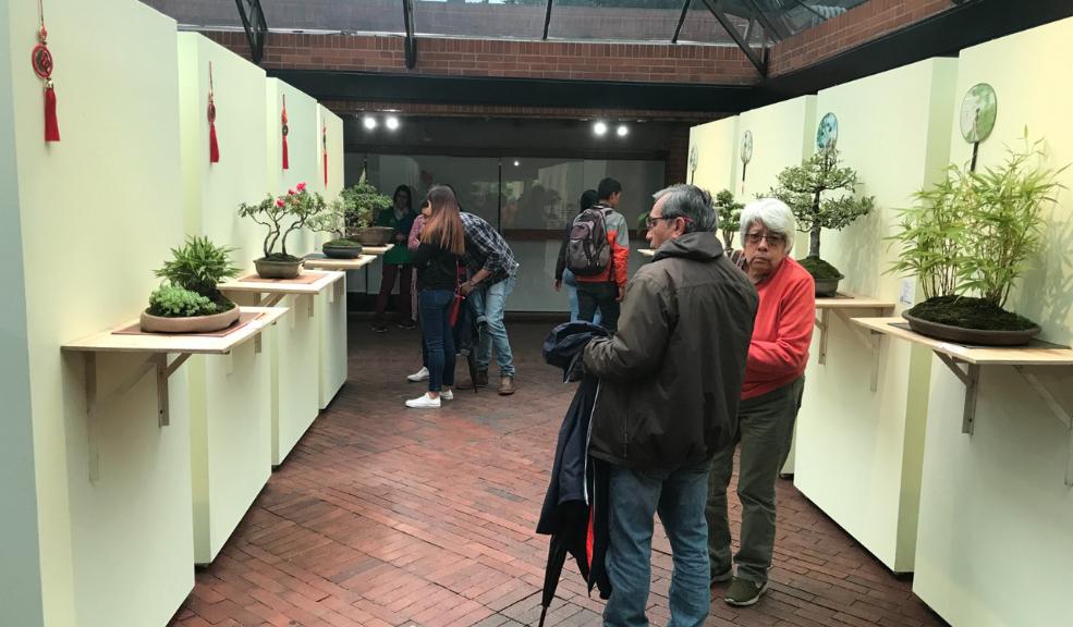Este viernes inicia la exposición de bonsáis en el Jardín Botánico La III Exposición de Bonsáis 2023 Jardín de Oriente, uno de los eventos más esperados por coleccionistas, expertos, aficionados de la jardinería miniaturase, se realizará del 17 al 20 de marzo en el Jardín Botánico de Bogotá.