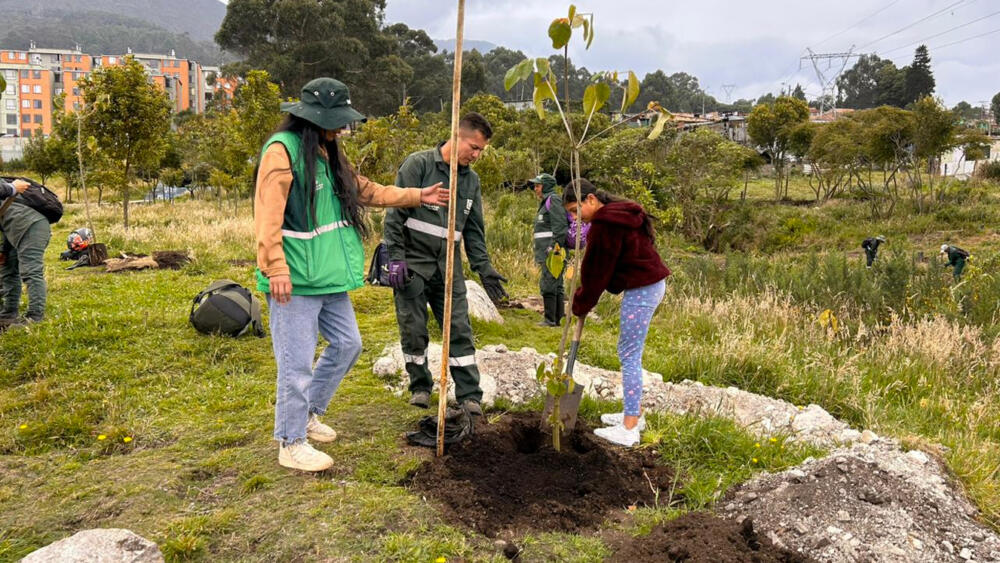 Bogotá plantará más de 2000 árboles para celebrar el día de la tierra Con ocasión del Día Internacional de la Tierra (22 de abril) y el Día del Árbol (29 de abril), el Distrito plantará 2.650 nuevos árboles en diferentes puntos de la ciudad, en el marco de varias jornadas que contarán con la participación de funcionarios, comerciantes, líderes ambientales, redes de cuidadores del entorno ambiental y voluntarios