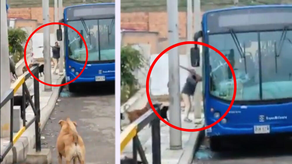 En video: pasajero cogió a palazos un bus del Sitp Un hombre destruyó con un palo un bus del Sitp en Ciudad Bolívar.