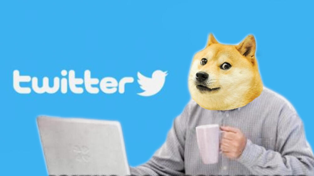 Le explicamos por qué el logo de Twitter ahora es un perro El icónico pájaro azul que caracterizaba la red social Twitter ya pasó a la historia, el nuevo dueño de la compañía, Elon Musk, decidió darle una nueva imagen y cambió su logo.