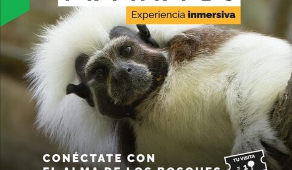 'Salvando Primates': una experiencia para generar conciencia ambiental Un proyecto liderado por un joven biólogo, fotógrafo y documentalista colombiano, Federico Pardo, 'Salvando Primates', se estrenará en Colombia durante el próximo mes de mayo en las instalaciones del Planetario de Bogotá.