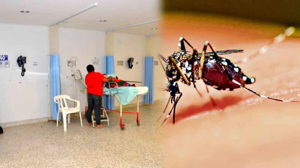 ¡Ojo! En Colombia hay alerta por brote dengue, van 28.000 casos en lo corrido del 2023 El aumento de casos de dengue en Colombia ha empezado a generar alerta entre las autoridades de salud. El 81 % del territorio nacional se encuentra en situación de brote, mientras que el 16 % está en alerta.