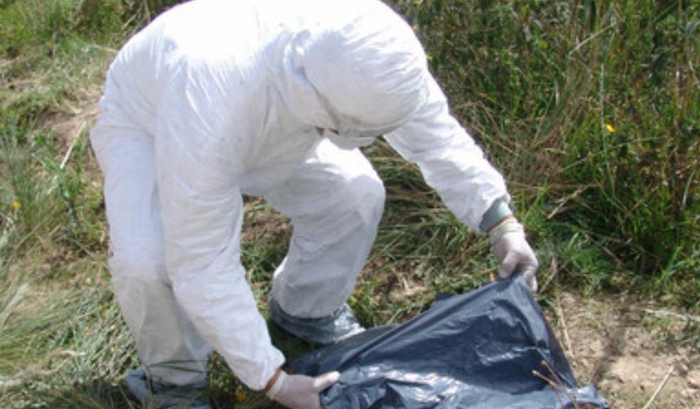 Hallan cuerpo embolsado en Engativá Un cuerpo embolsado fue encontrado en el barrio Tortigua de la localidad de Engativá.