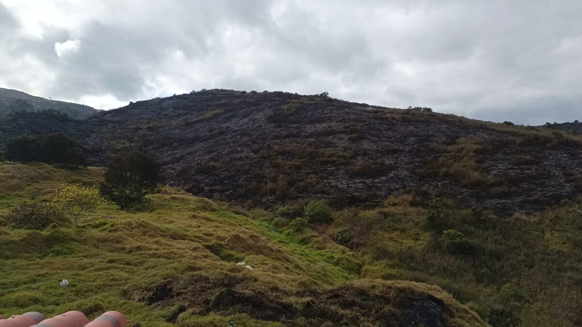 Controlan incendio forestal en Mosquera Bomberos lograron controlar la grave emergencia forestal en Cerro Gordo- Mosquera, pero los fuertes vientos podrían encender de nuevo las llamas.