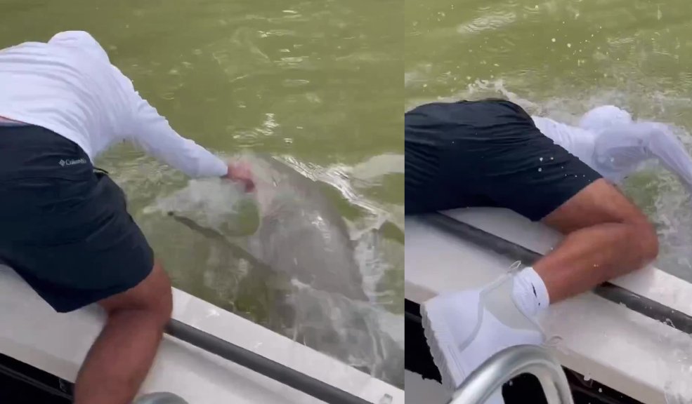 ¡Impactante! Pescador se salvó de ser devorado por un tiburón Joven fue atacado por un tiburón mientras pescaba.