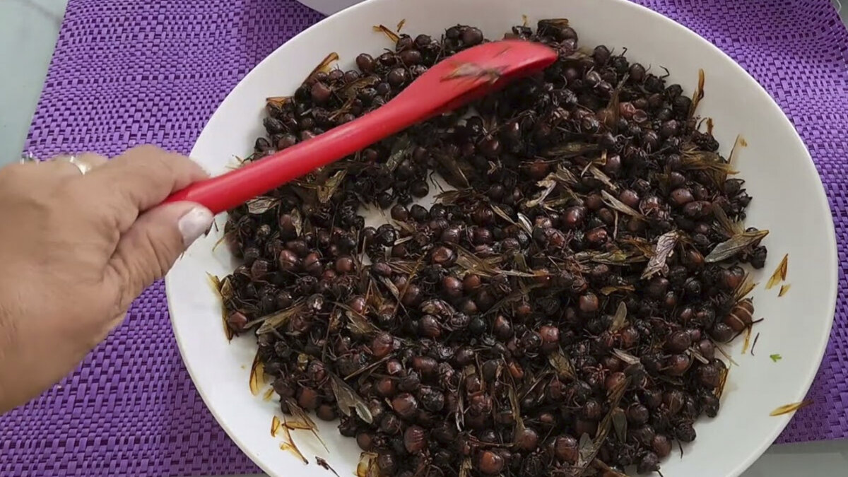Hormigas culonas y los envueltos, entre las peores comidas del mundo Las hormigas culonas ocuparon el puesto número dos en la lista de los “Diez alimentos callejeros peor calificados del mundo”, recopilada por Taste Atlas.