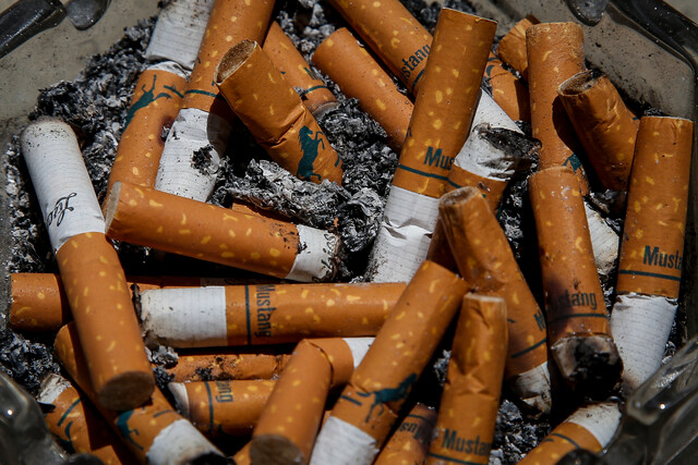En Bogotá se recolectan 324 toneladas de colillas de cigarrillo al año 324 toneladas de colillas de cigarrillo se recolectan anualmente en las calles de Bogotá.