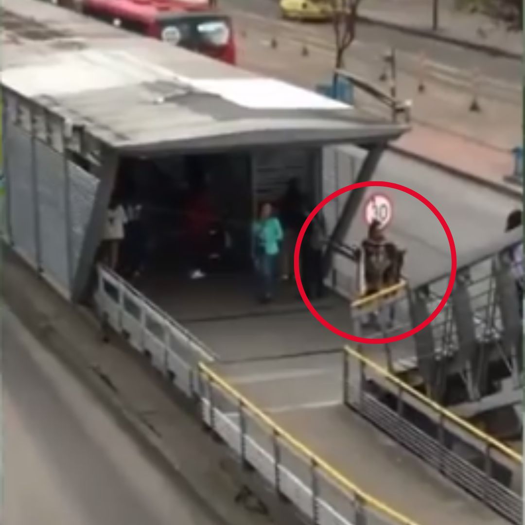 EN VIDEO: Captan a un hombre elevando cometa desde una estación de TransMilenio Captan a un hombre elevando una cometa al interior de la estación de TransMilenio Boyacá, por la troncal de la Calle 80.