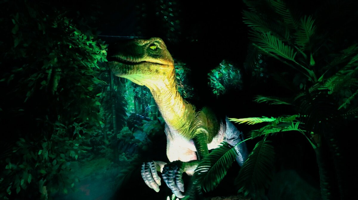 Los fósiles de dinosaurios cobran vida y se apoderan de Bogotá