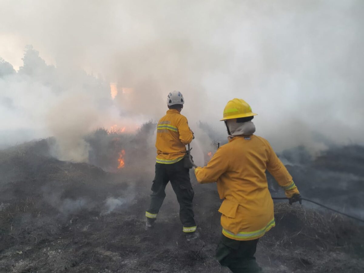 A esta hora se registran fuertes incendios en varios municipios de Cundinamarca En los municipios de Tocancipá, La Mesa y Facatativá se registran incendios forestales.