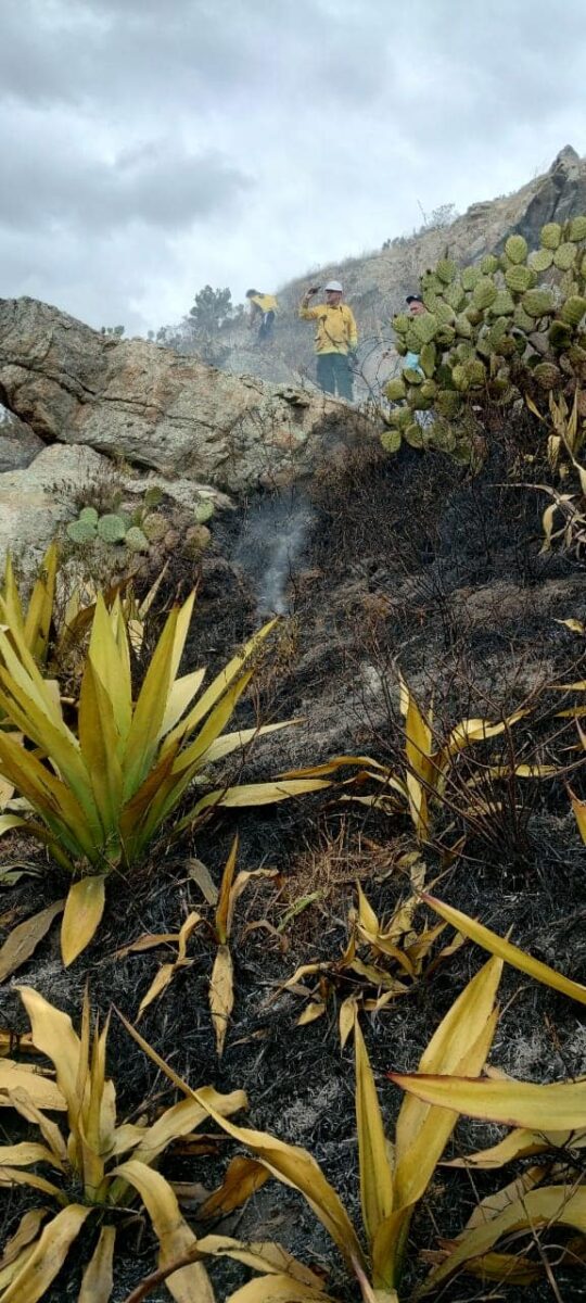 Alerta por incendios forestales en Cundinamarca Ante los recientes casos de incendios forestales ocurridos en Cundinamarca, las autoridades realizaron un llamado a la comunidad dado el preocupante panorama. Y es que las cifras son, por decir lo menos, alarmantes: las hectáreas consumidas por las llamas se cuentan en más de 3.000 y ya son 61 los municipios afectados por los incendios que, lastimosamente, en muchos casos son provocados por manos criminales que buscan mezquinos objetivos o por la irresponsabilidad de realizar pequeñas quemas, en apariencia inofensivas, que terminan saliéndose de control y provocando emergencias.