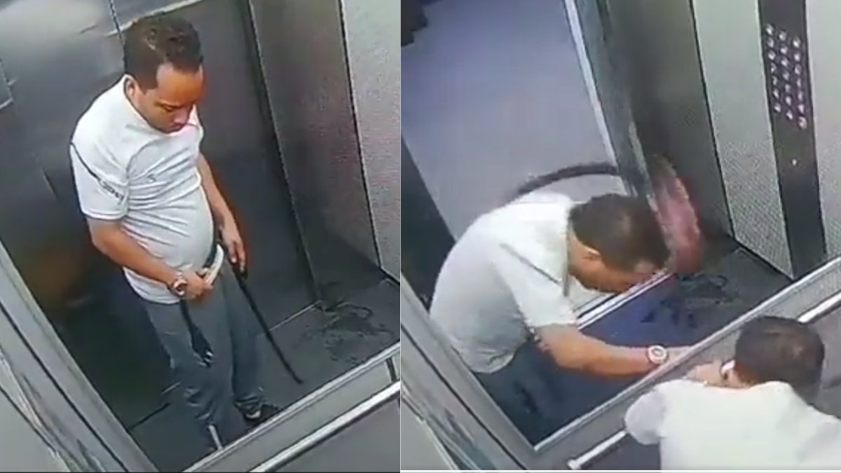 ¡Indignante! Hombre golpeó violentamente a un perrito en un ascensor En video quedó registrado el momento en el que un hombre golpea violentamente a su perrito al interior de un ascensor.