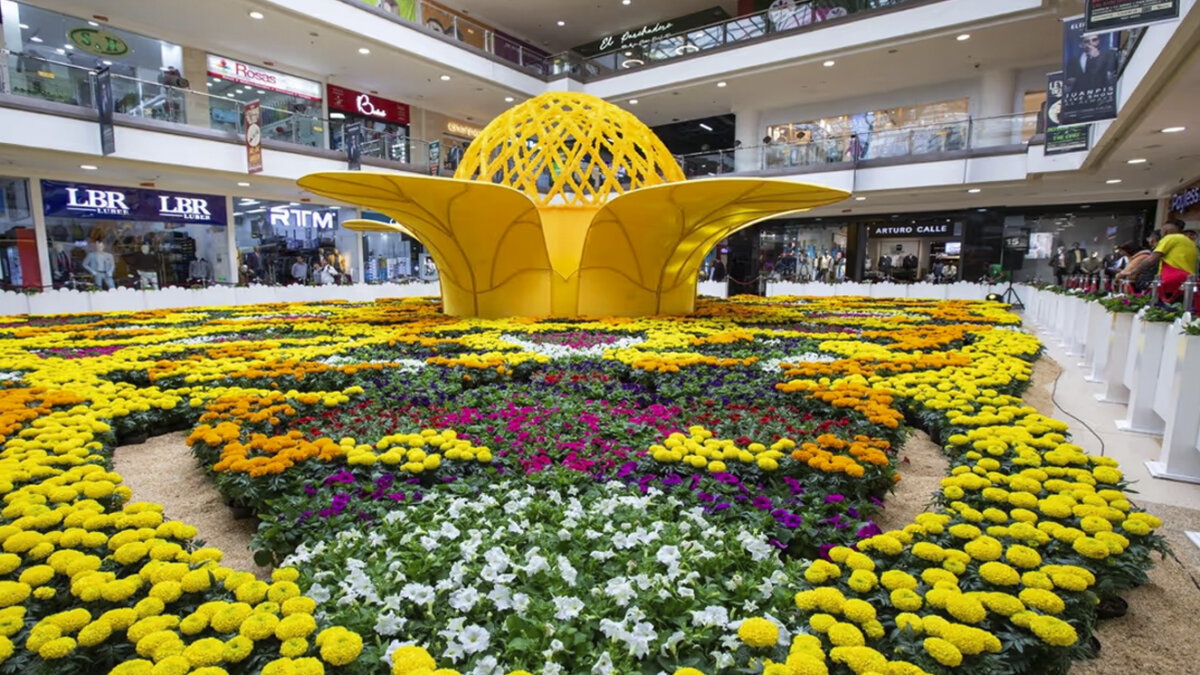 Jardín del Encanto: un homenaje a la floricultura colombiana El Jardín del Encanto del Centro Comercial Santafé, será adornado por 50.000 flores, entre ellas: petunias rojas, rosas, púrpura, azules, además de marigold amarillas y naranjas.