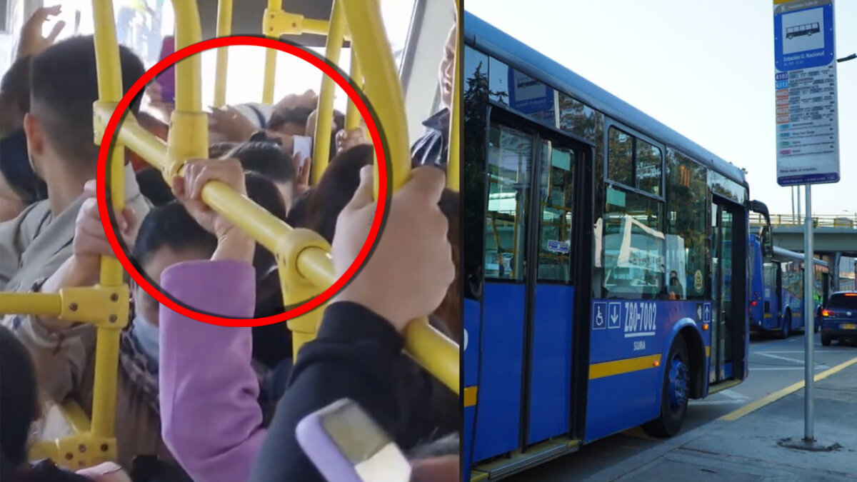 ¡El colmo! Dos mujeres se mechoneraon en un bus del Sitp Dos mujeres se mechonearon al interior de un bus del Sitp. Vea el video aquí.