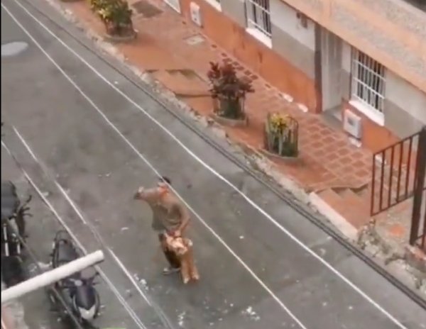 ¡Indignante! Hombre arrastró a su perrito por una avenida Un hombre que se encontraba lastimando a su perrito quedó grabado en un vídeo publicado en redes sociales.