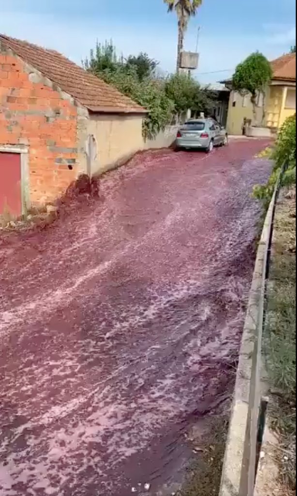 ¡Insólito! Un río de vino inundó las calles de Portugal En un video que se hizo viral en redes sociales se puede ver, lo que algunos usuarios catalogaron como un "río de vino".