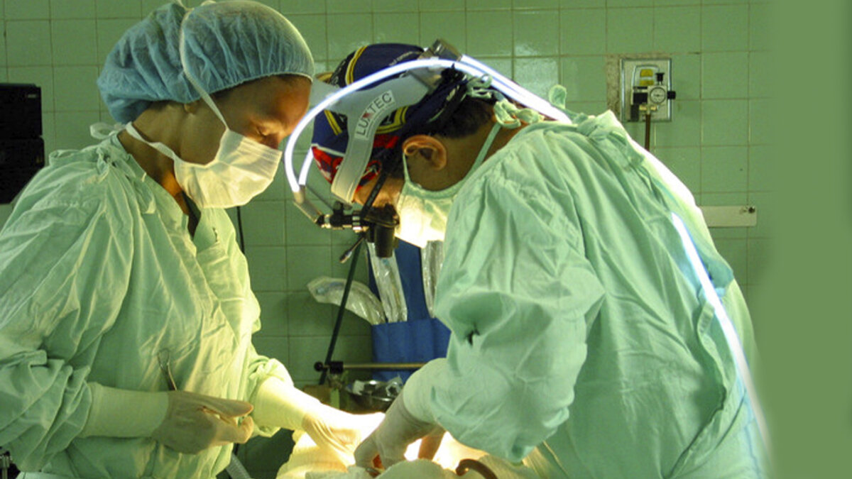 Condenaron a 6 reconocidos médicos por falsificar títulos para cirugías estéticas