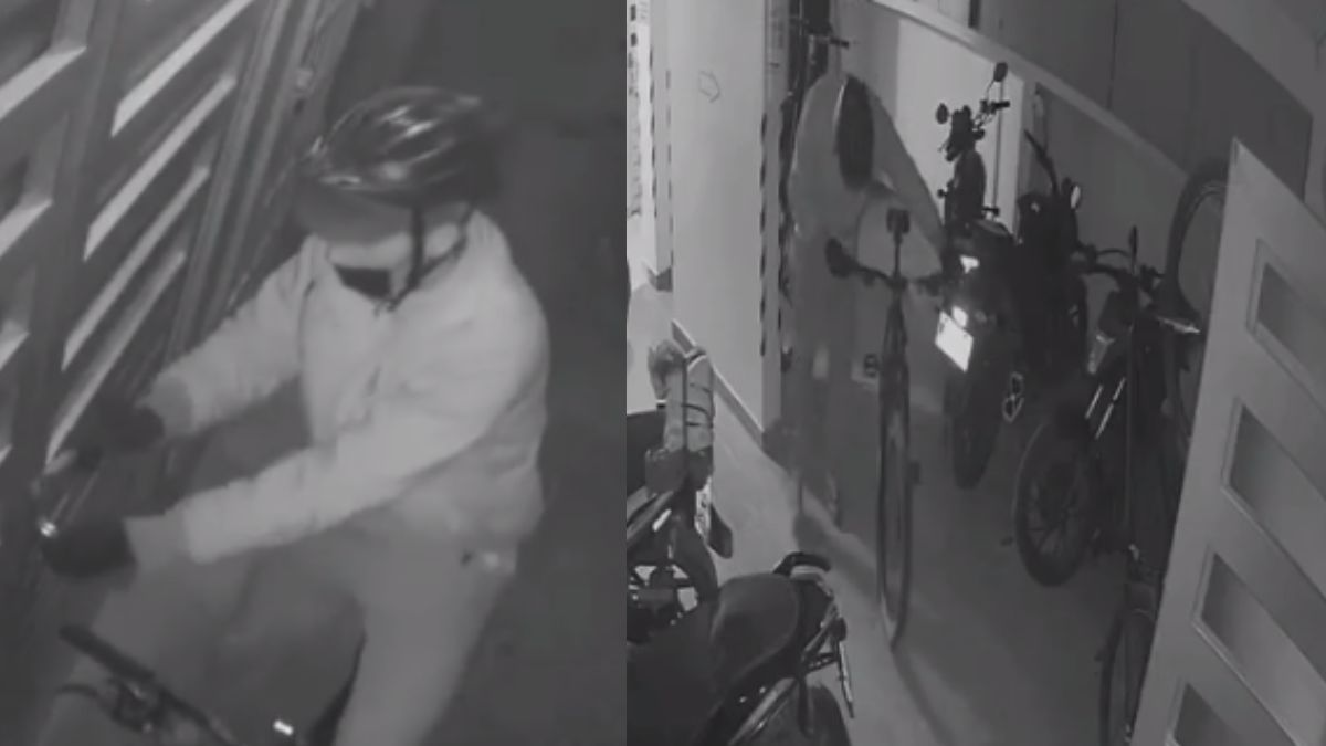 Pillos se metieron y robaron edificio de apartamentos en Fontibón Dos ladrones fueron grabados por las cámaras de seguridad de un edificio de apartamentos en el barrio Belén (en Fontibón), cuando ingresaron a la vivienda y robaron dos bicicletas.