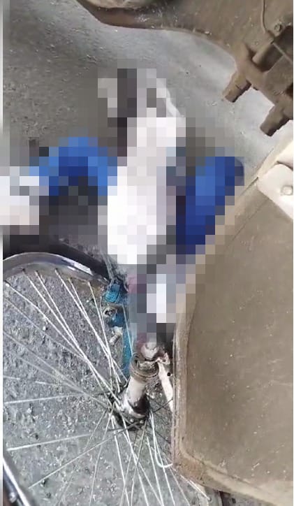 Fatal accidente entre tractocamión y bicicleta en Fontibón En horas de la mañana se presentó un terrible accidente en la localidad de Fontibón entre un tractocamión y un joven que se transportaba en bicicleta.