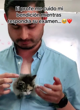 EN VIDEO: Gato de una alumna le roba el corazón a un profesor en medio de un examen En redes sociales se ha hecho viral un tierno video de un profesor que cuida el gatico de una alumna, mientras ella presenta un examen.