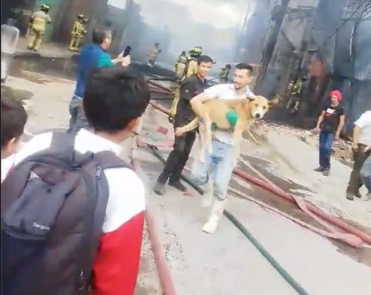 ¡Salvaron a Tony!: perrito fue rescatado del incendio en inmediaciones del Hospital Meissen En medio del fuerte incendió que se reportó esta tarde cerca al Hospital Meissen, ubicado en ciudad Bolívar, un hombre logró rescatar a un perro de las llamas que quemaban una vivienda.