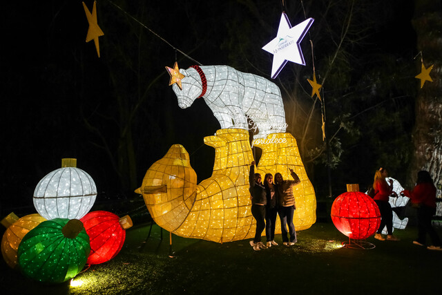 Bogotá celebra la Navidad con constelaciones y ferias Bogotá se prepara para vivir una nueva temporada de Navidad con circuitos gastronómicos y culturales, novenas de aguinaldos, el show Constelaciones y la Feria Bogotá es Navidad.