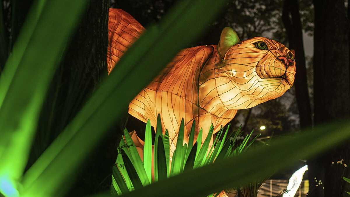 El Jardín Botánico se prepara para recibir el 2024 con 'MajestuOSOS' La capital colombiana se viste de luces y color durante las festividades de fin de año. Es por esto que el Jardín Botánico de Bogotá se convertirá en el escenario perfecto para la magia y la contemplación con su evento especial "MajestuOSOS", en colaboración con Brilla Colombia.