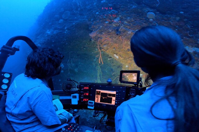 National Geographic vuelve a explorar los océanos colombianos National Geographic Pristine Seas tiene preparado un documental para celebrar la protección de más del 30% de los océanos de Colombia.