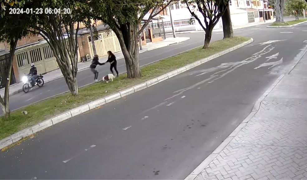 EN VIDEO: Violento intento de robo a mujer que paseaba su perro En un video quedó registrado el momento en el que pillos en moto intentaron robar a una mujer que paseaba a su perro en el barrio Modelo Norte, de la localidad de Barrios Unidos.