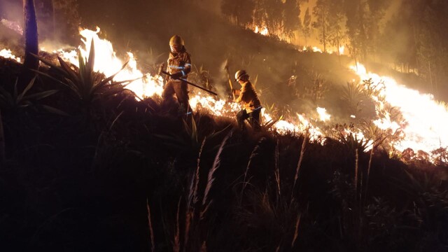 Alerta por aumento de incendios forestales en el país Entre el 3 de noviembre de 2023 y ayer, se han presentado 237 incendios forestales en el país, en el marco del fenómeno del Niño, según informó la Unidad de Gestión del Riesgo de Desastres (UNGRD).