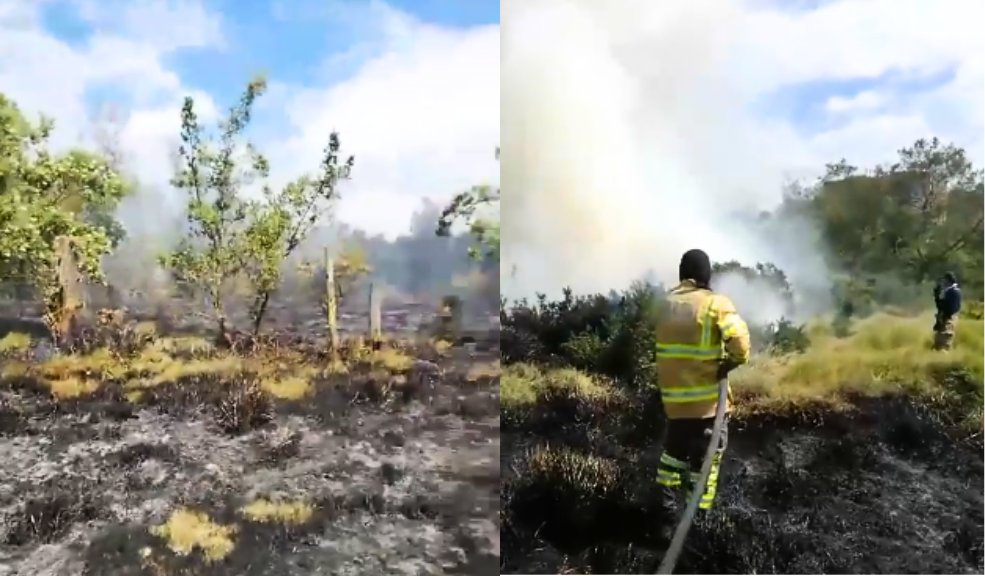 A esta hora se presenta incendio forestal en Engativá Los bomberos se encuentran controlando a esta hora una quema forestal en inmediaciones al humedal Jaboque, en el barrio Gran Granada en Usme.