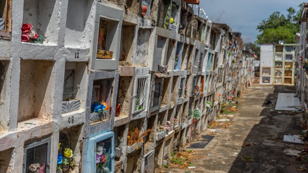 Encuentran cuerpos de más de 200 víctimas de desaparición en el conflicto armado En un esfuerzo conjunto entre la Jurisdicción Especial para la Paz (JEP) y la Unidad de Búsqueda de Personas Dadas por Desaparecidas (UBPD), se recuperaron 211 cuerpos de presuntas víctimas de desaparición en el Cementerio Central de Cúcuta.