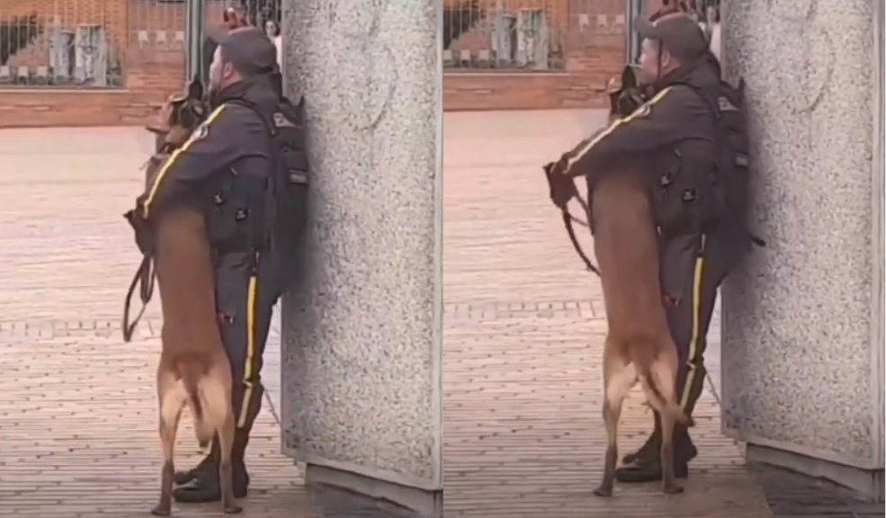 Conmovedor video de guardia y perrito: se abrazan El trabajo de este guardia de seguridad es más ameno con la compañía de un perrito que lo abraza.