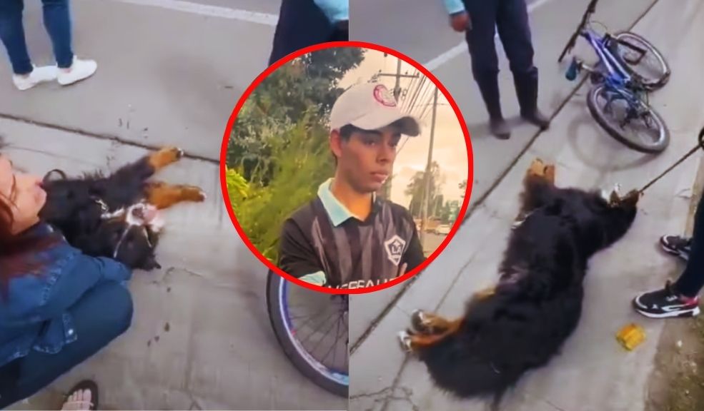 En Video: Ciclista fue sorprendido llevando a rastras a un perro Un presunto caso de maltrato animal se registró en Cundinamarca, cuando un hombre ató a un canino su cicla y lo obligó a correr hasta que este se desplomó.