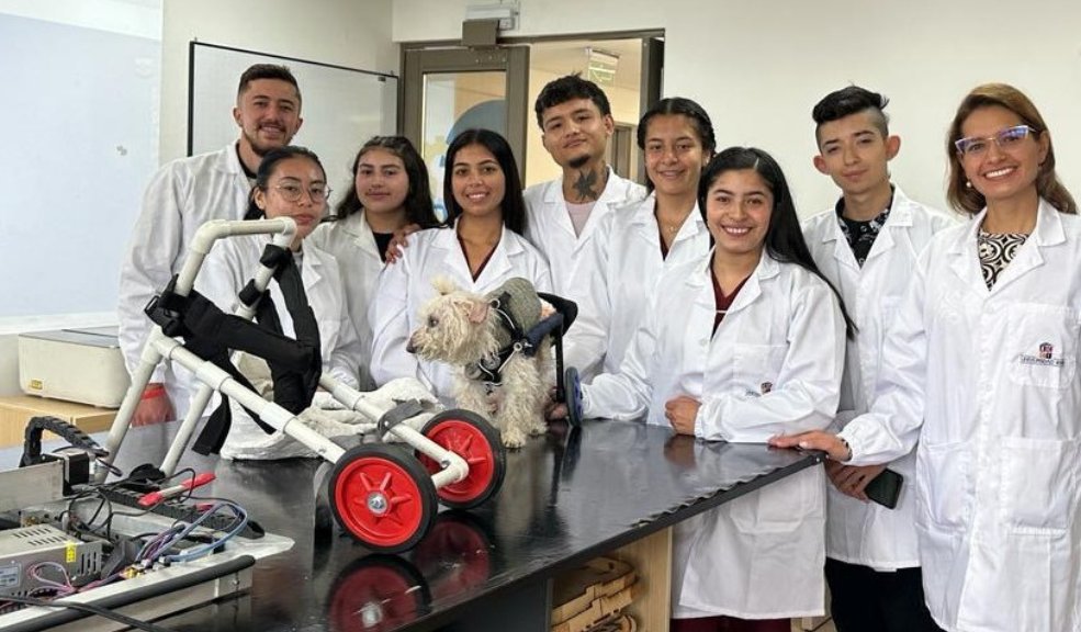 Estudiantes crean prótesis especializadas para animales con discapacidad Estudiantes universitarios se unieron para crear prótesis especializadas para peluditos, con el fin de brindarles una mejor calidad de vida.