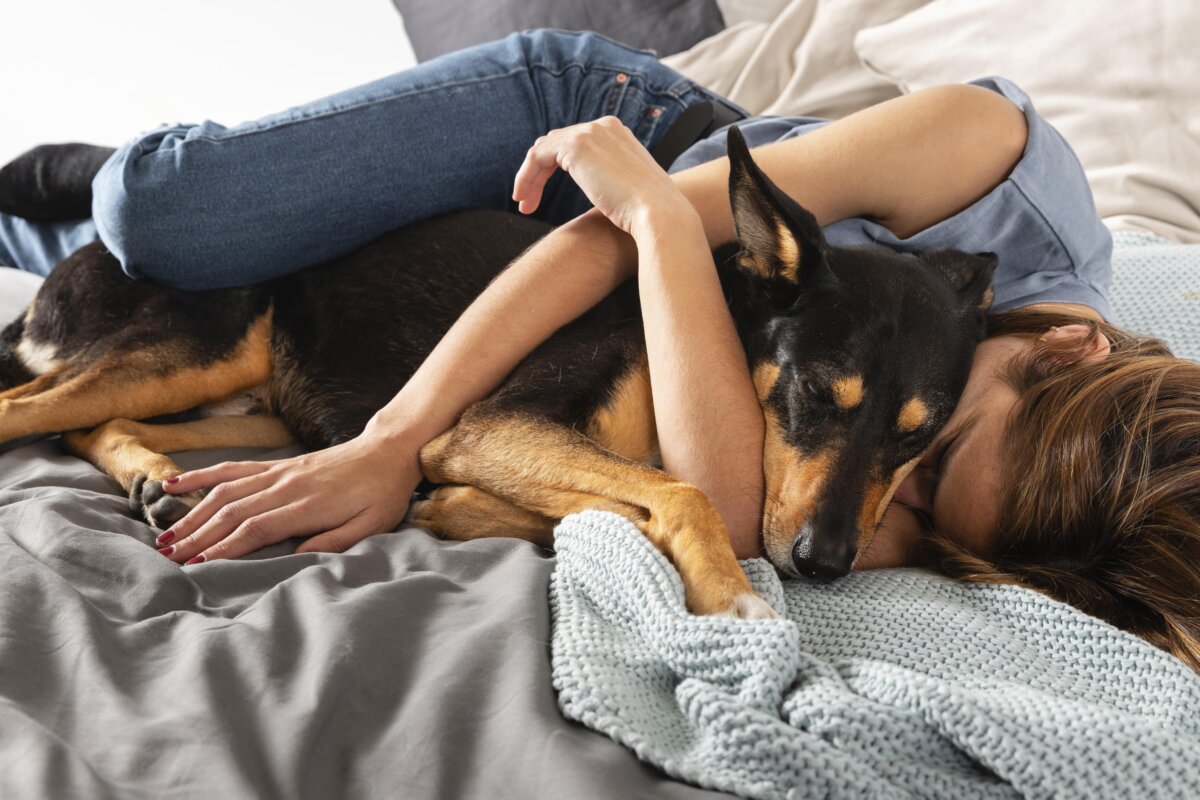 ¿Es malo dormir con las mascotas? Les contamos algunos beneficios y consideraciones a la hora de dormir con las mascotas.
