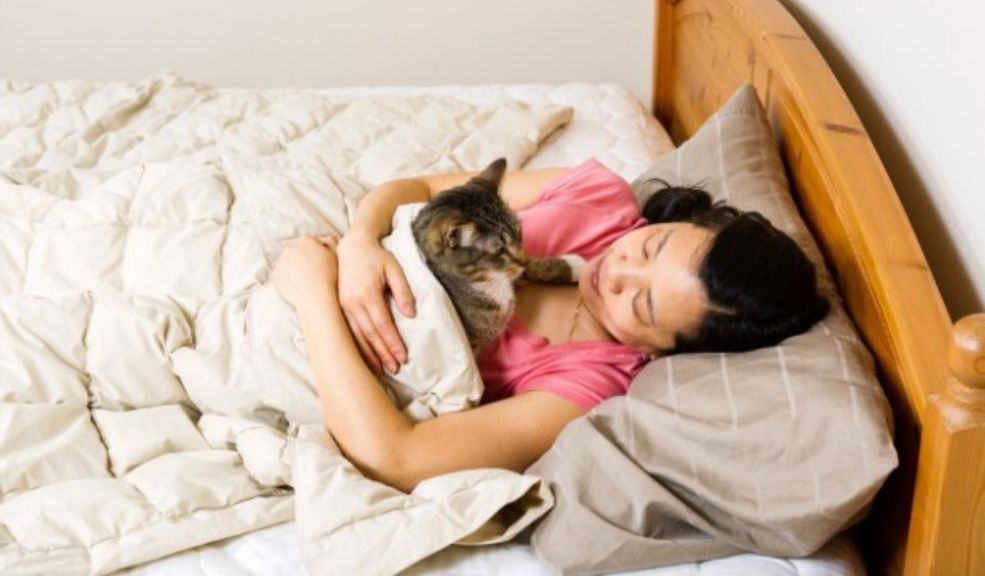 ¿Es malo dormir con las mascotas? Les contamos algunos beneficios y consideraciones a la hora de dormir con las mascotas.