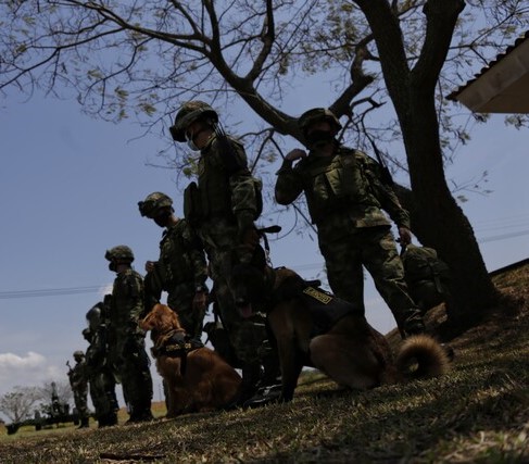 Aparecieron los 11 militares que habían sido reportados como desaparecidos en Sumapaz El Ejército Nacional confirmó este lunes que los militares se encuentran sanos y salvos.