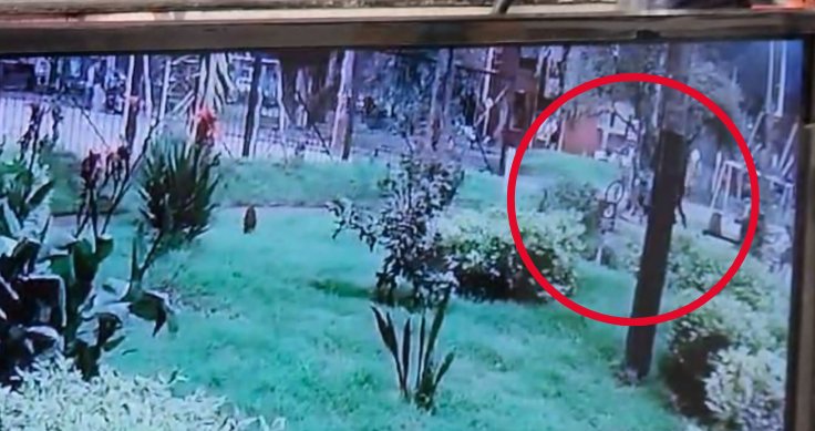 Revelan imágenes del momento en el que asesinan a joven en parque de Engativá Q’HUBO conoció de manera exclusiva el video de las cámaras de seguridad en el que quedó registrado este homicidio. Le contamos.